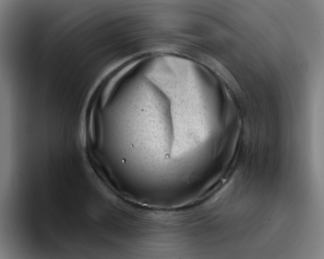 X0000094331036200711161946