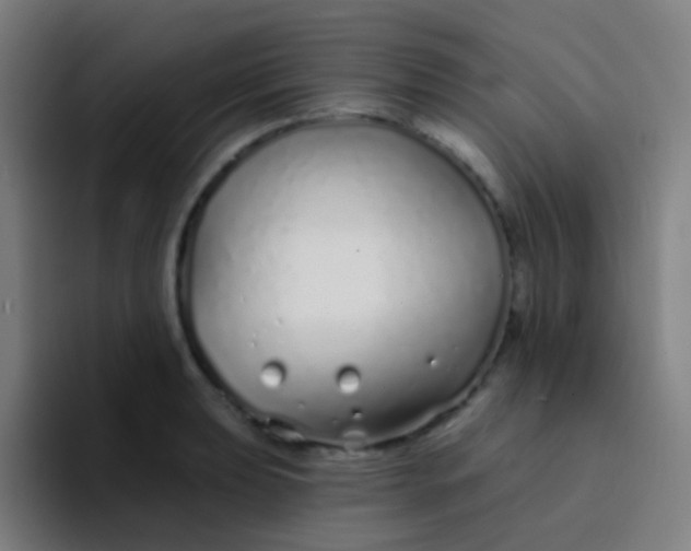 X0000094331039200711161946