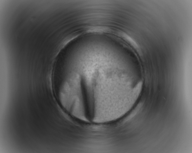 X0000094331041200711161946