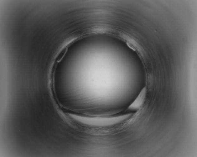 X0000094331042200711161946