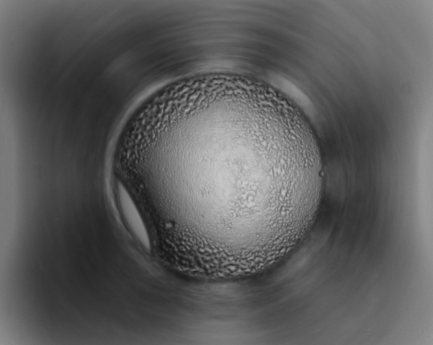X0000094331043200711161946
