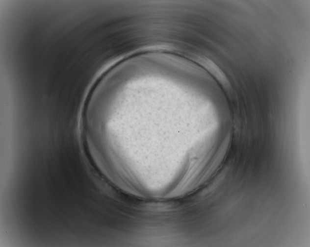 X0000094331044200711161946