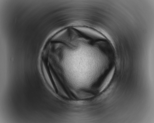 X0000094331045200711161946