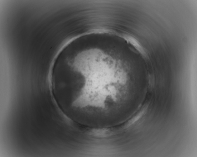 X0000094331046200711161946