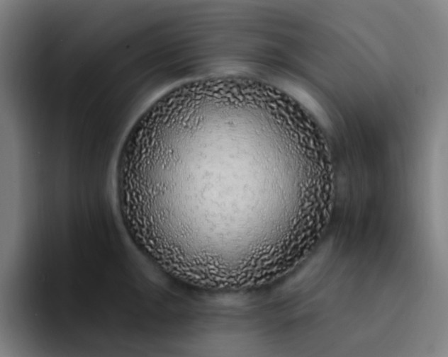 X0000094331047200711161946