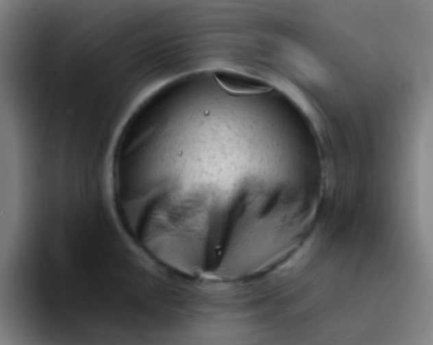 X0000094331048200711161946