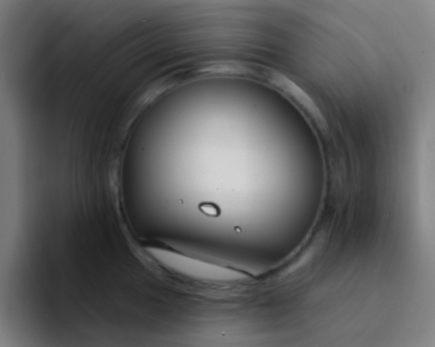 X0000094331049200711161946