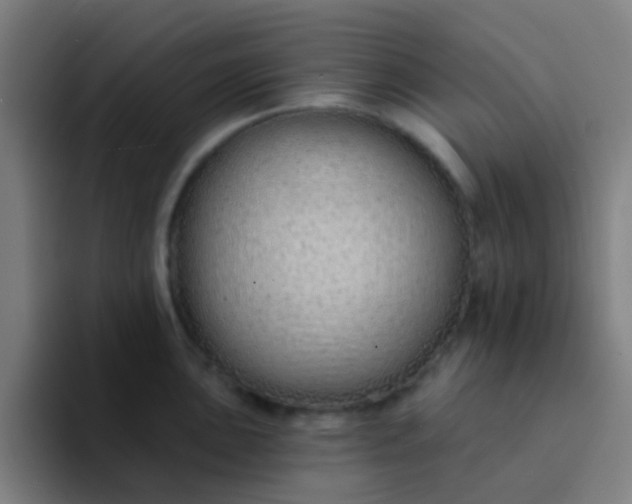 X0000094331051200711161946
