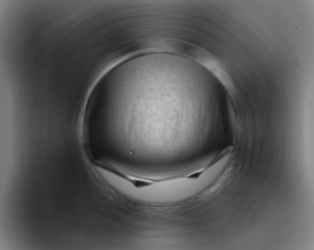 X0000094331052200711161946