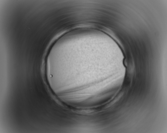 X0000094331053200711161946