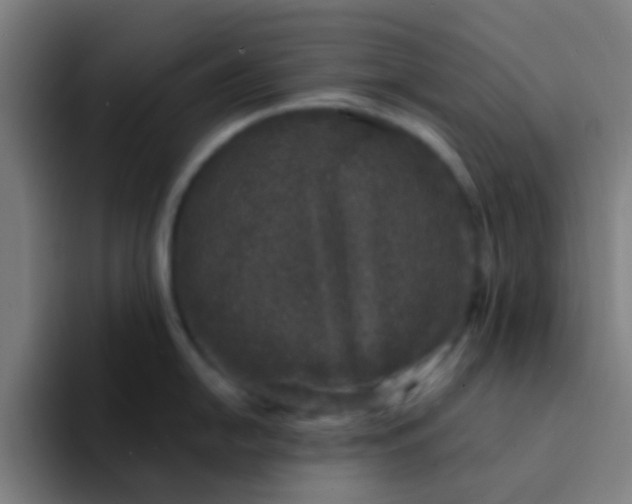 X0000094331054200711161946