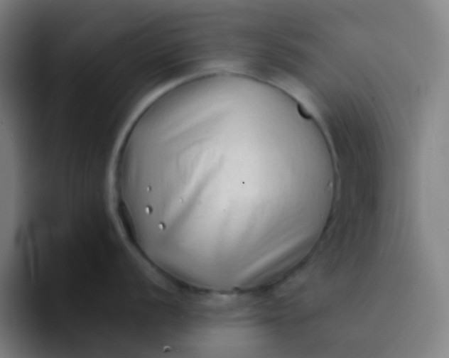 X0000094331056200711161946
