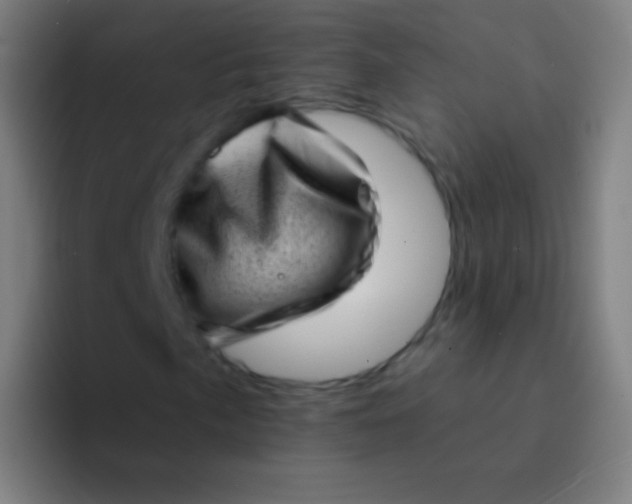 X0000094331057200711161945