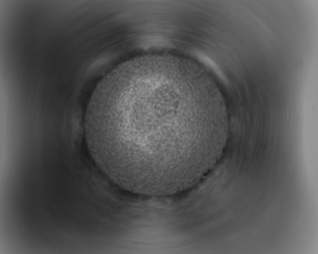 X0000094331063200711161945
