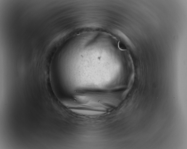 X0000094331064200711161945