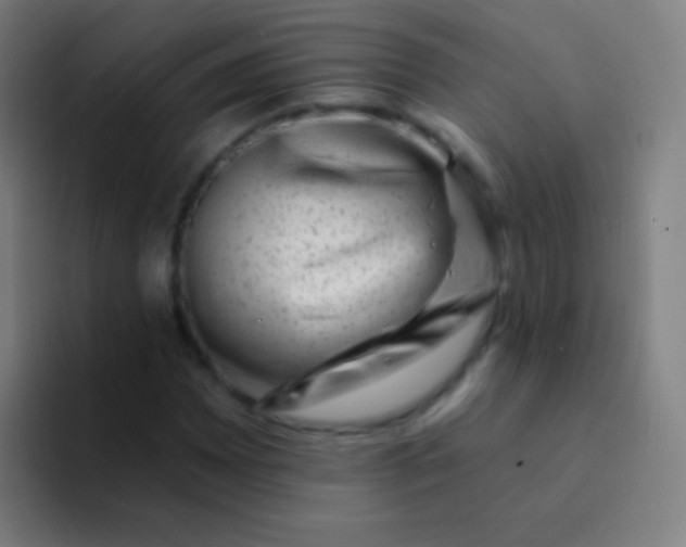 X0000094331065200711161945