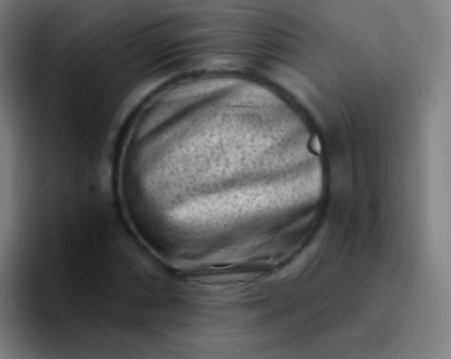 X0000094331066200711161945