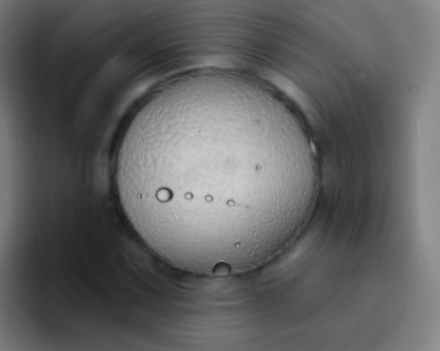 X0000094331067200711161945