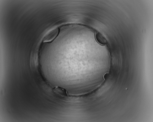 X0000094331069200711161945
