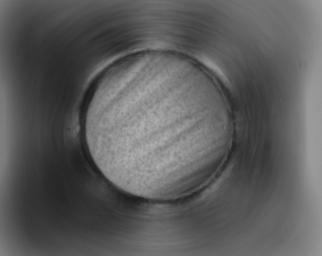 X0000094331070200711161945