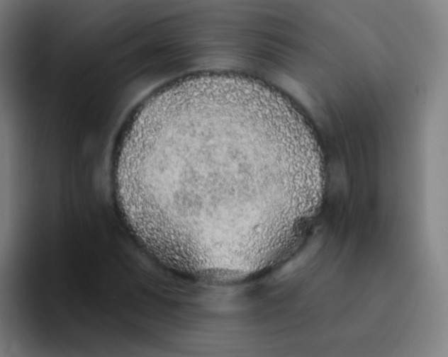 X0000094331071200711161945