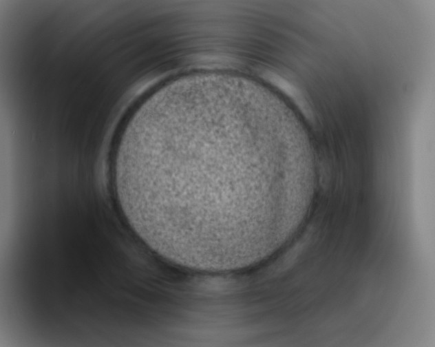 X0000094331074200711161945