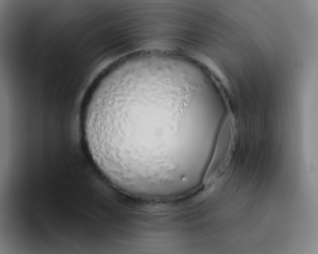 X0000094331075200711161945