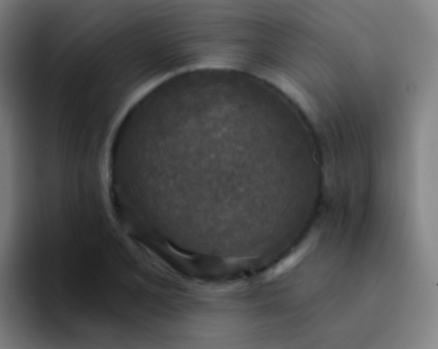 X0000094331077200711161945