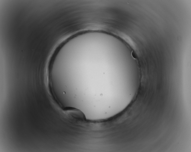 X0000094331080200711161945