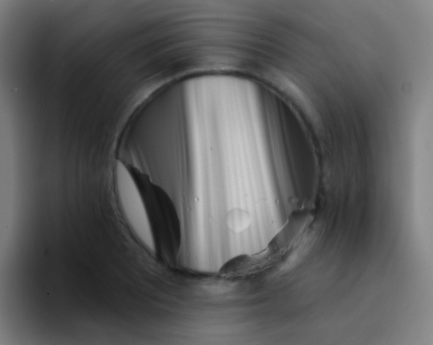 X0000094331081200711161945