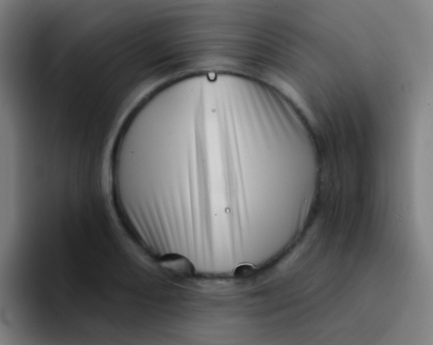 X0000094331082200711161945
