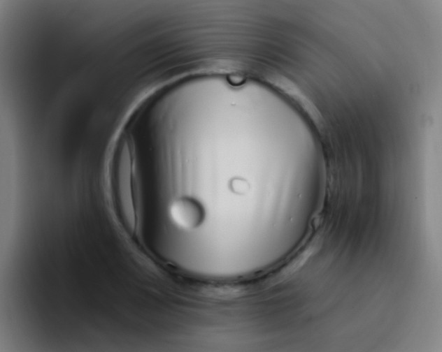 X0000094331083200711161945