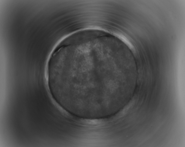 X0000094331084200711161945