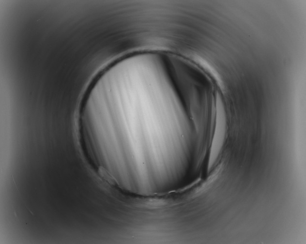 X0000094331085200711161945