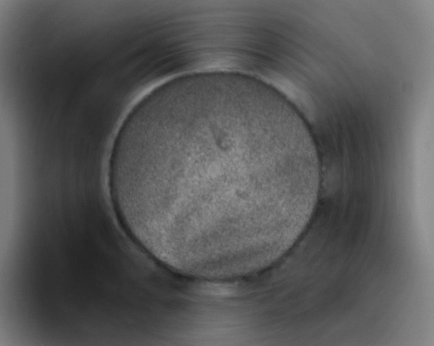X0000094331086200711161945