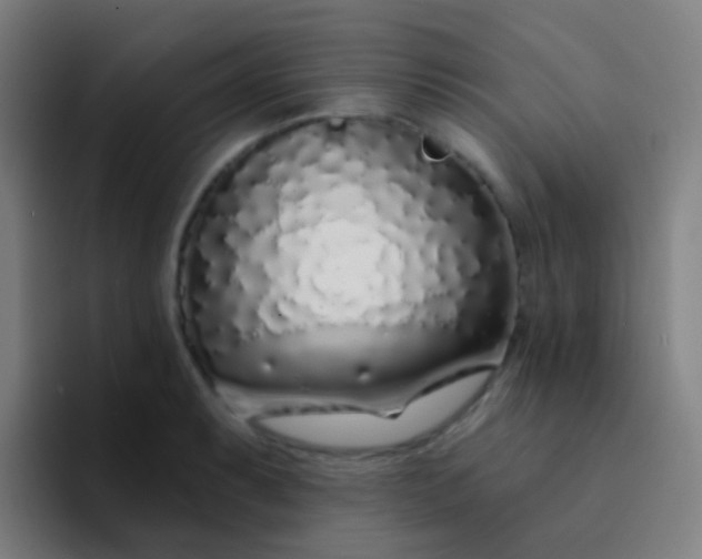 X0000094331087200711161945