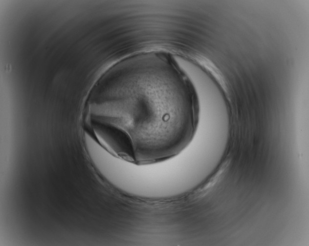 X0000094331089200711161945