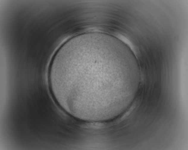 X0000094331090200711161945