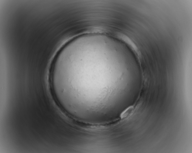 X0000094331091200711161945