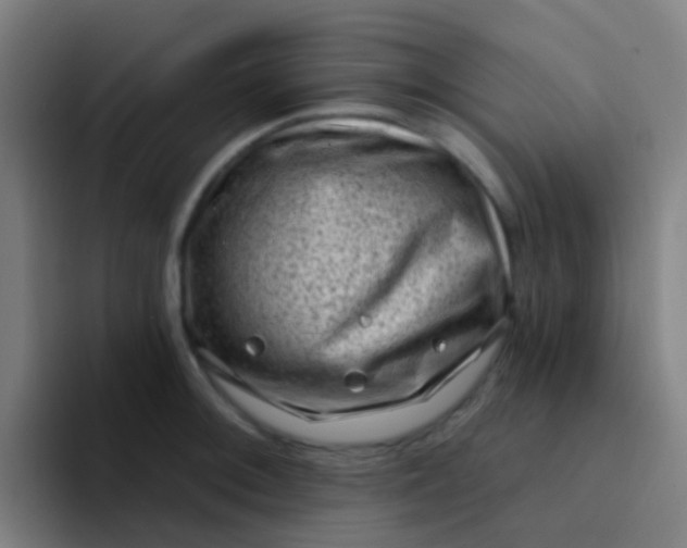 X0000094331092200711161945