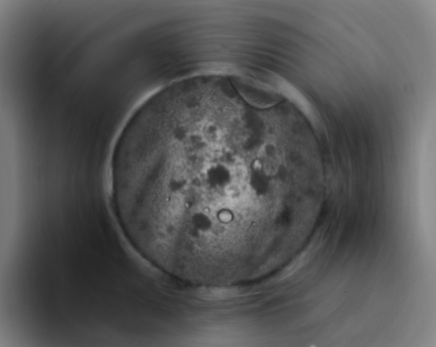X0000094331095200711161945