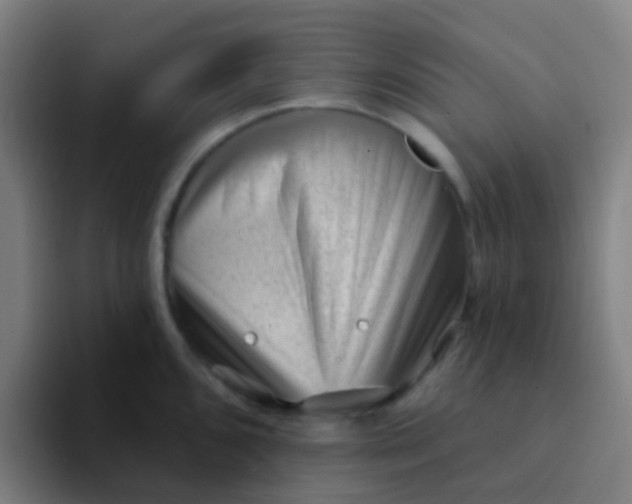 X0000094331096200711161945