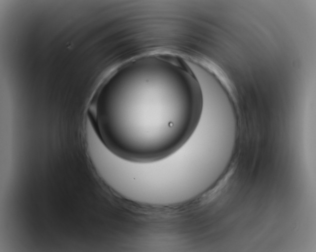 X0000094331097200711161945