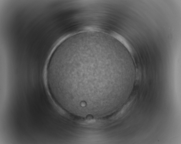X0000094331098200711161945