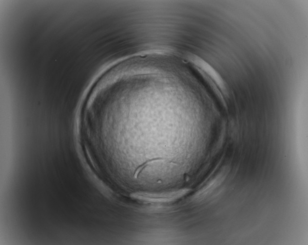 X0000094331099200711161945
