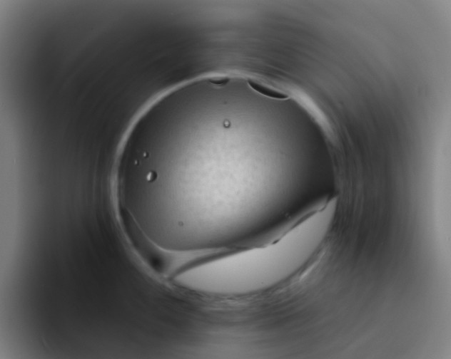 X0000094331100200711161945