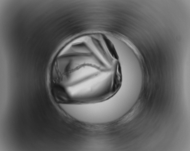 X0000094331101200711161945