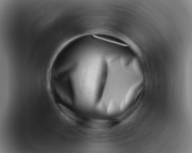 X0000094331102200711161945