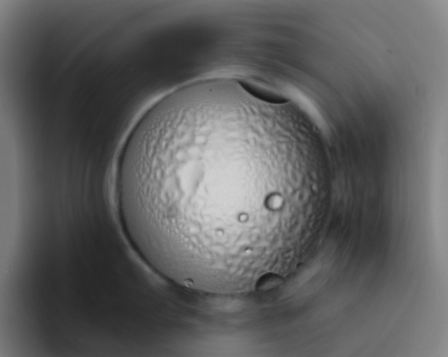 X0000094331103200711161945