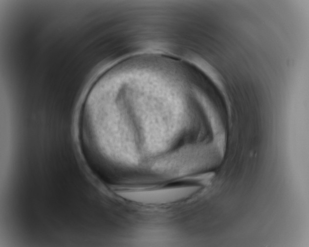 X0000094331104200711161945